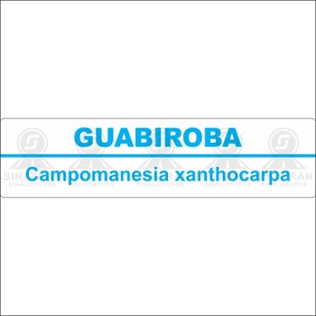 Guabiroba 